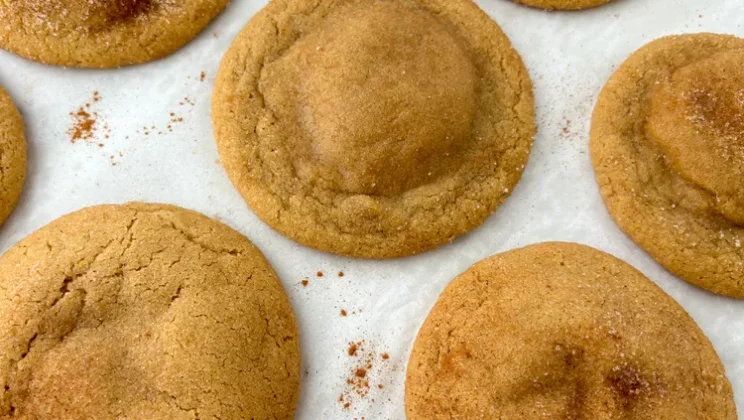 Healthy and Flavorful Cheesecake-Stuffed Snickerdoodle Recipe Recipe for Any Occasion
