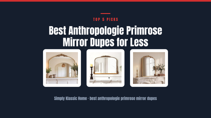 Best Anthropologie Primrose Mirror Dupes for Less