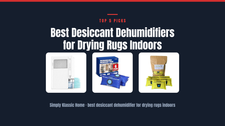 Best Desiccant Dehumidifiers for Drying Rugs Indoors