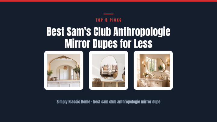 Best Sam’s Club Anthropologie Mirror Dupes for Less