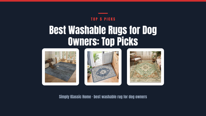 Best Washable Rugs for Dog Owners: Top Picks