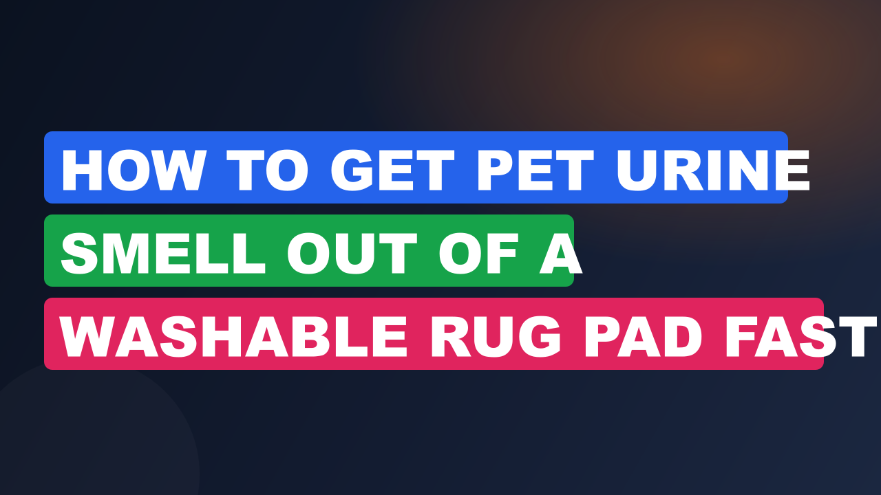 How to Get Pet Urine Smell Out of a Washable Rug Pad Fast