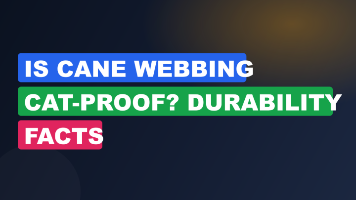 Is Cane Webbing Cat-Proof? Durability Facts