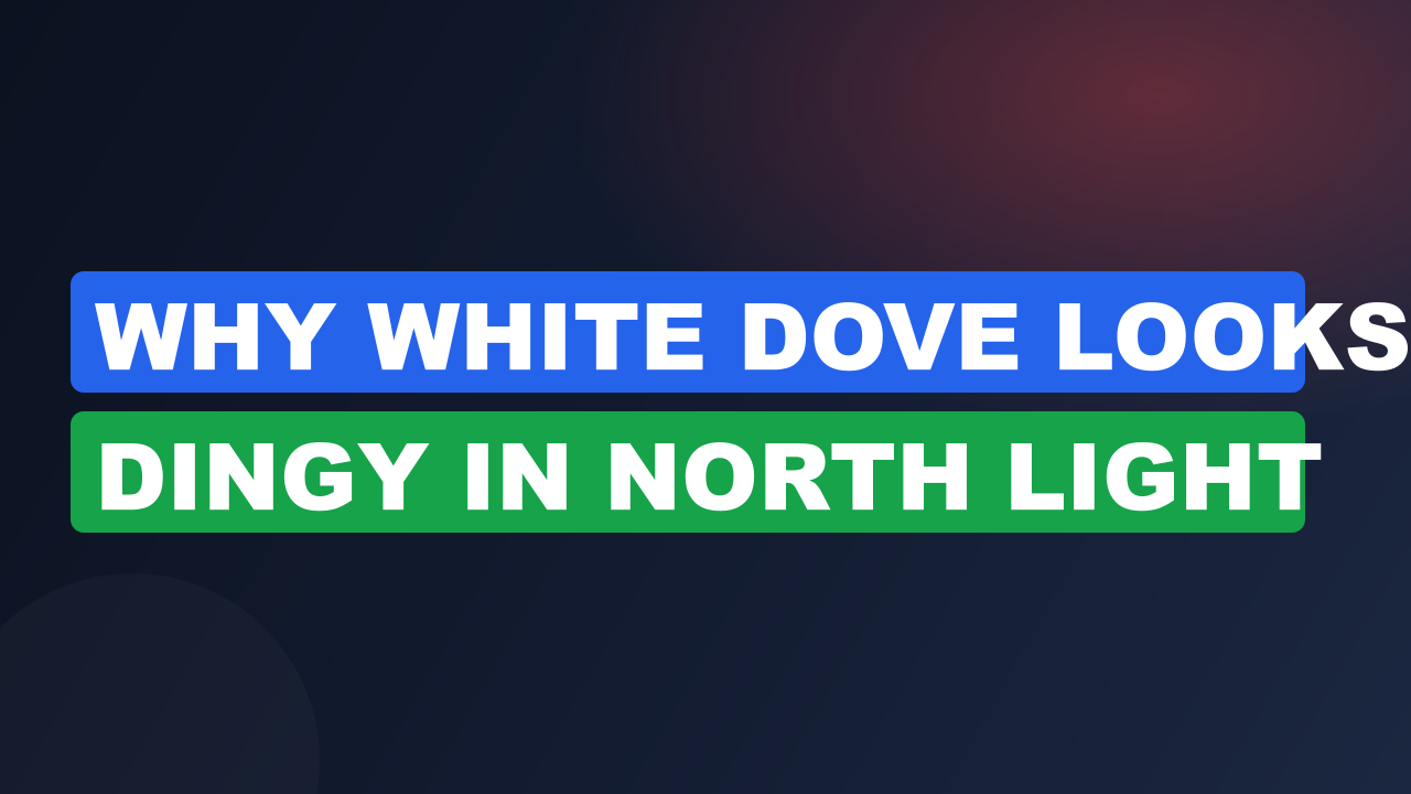 Why White Dove Looks Dingy in North Light